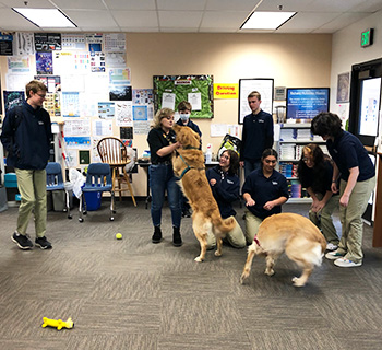 Group of students with service dogs