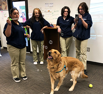 Group of students with a cute service dog